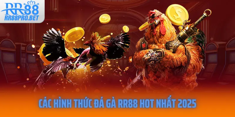 Các hình thức đá gà RR88 hot nhất 2025